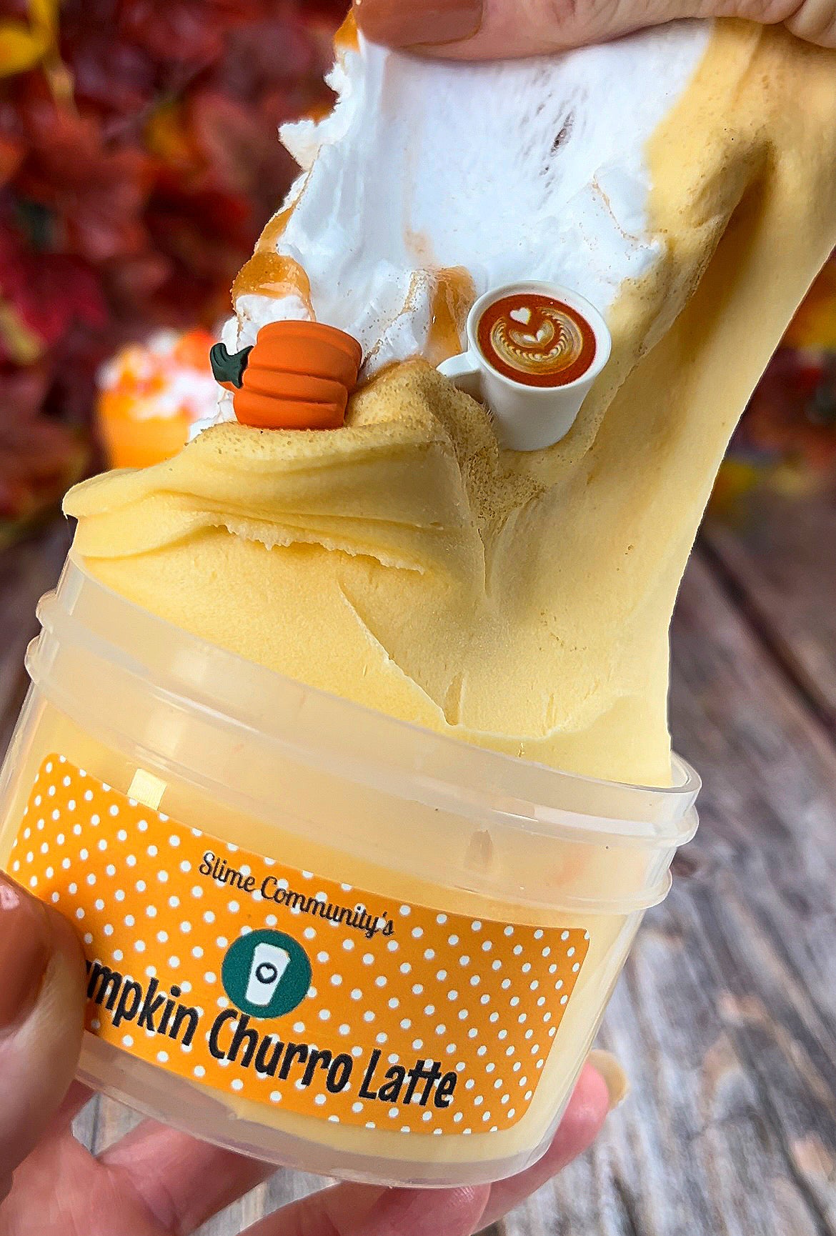 Pumpkin Churro Latte-a DIY slime kit